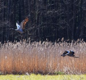 <span>Pakiet</span> 5-Dniowy