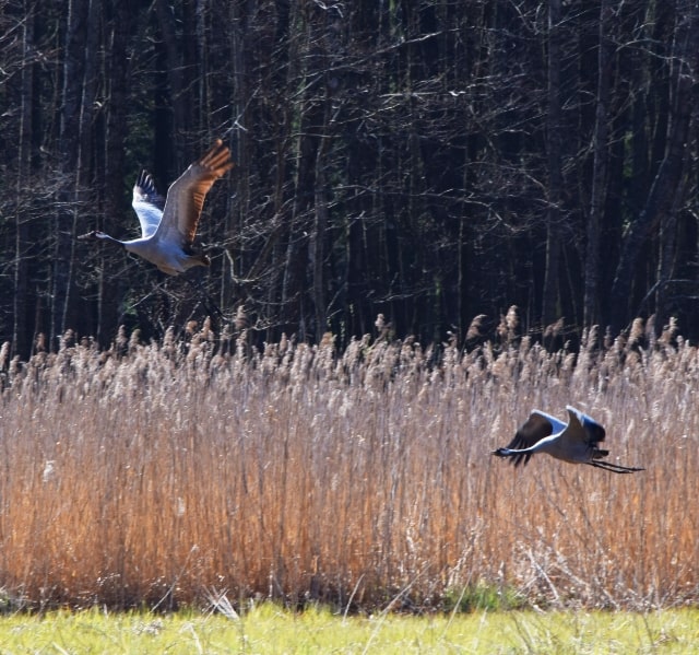 <span>Pakiet</span> 5-Dniowy