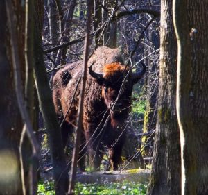 <span>Pakiet</span> tygodniowy