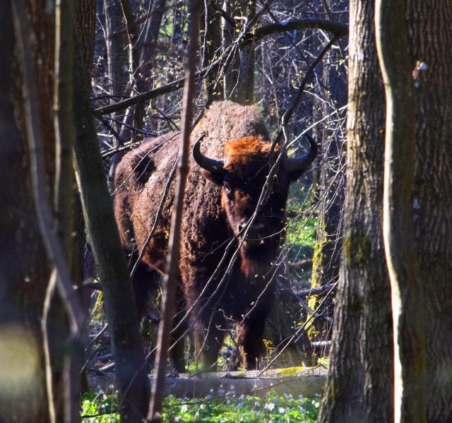 <span>Pakiet</span> tygodniowy